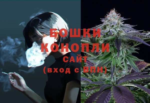 гидра Нефтекумск